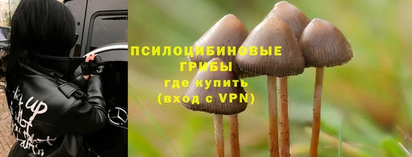 винт Бугульма